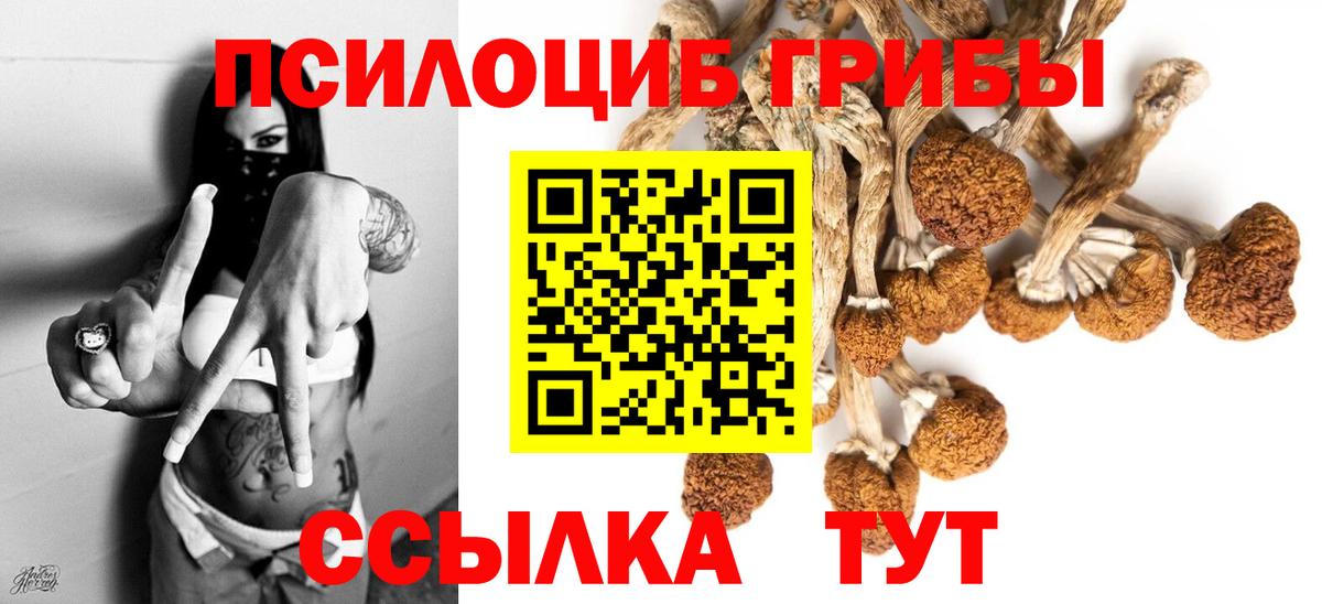 Галлюциногенные грибы Cubensis Краснознаменск